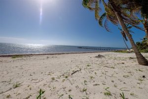Oceanview Lots FINANCE With 25% Down!