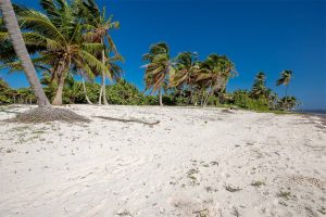 Oceanview Lots FINANCE With 25% Down!