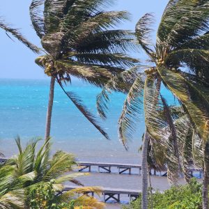 New Construction Luxury Home 4 Bed 3 Bath with Pool! +501.610.2731 WhatsApp