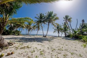 Oceanview Lots FINANCE With 25% Down!