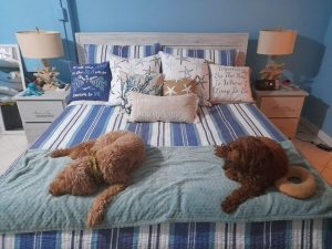 SOLD 3B 2B Waterfront