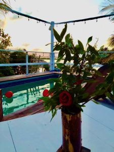 Residential & Commercial Mix Property 120 Feet Waterfront; Interest Free Financing Available with $600,000 Down