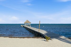 Indigo 3B 3.5B | Prime Beachfront Investment Opportunity in San Pedro! +501.610.2731 cell whatsApp