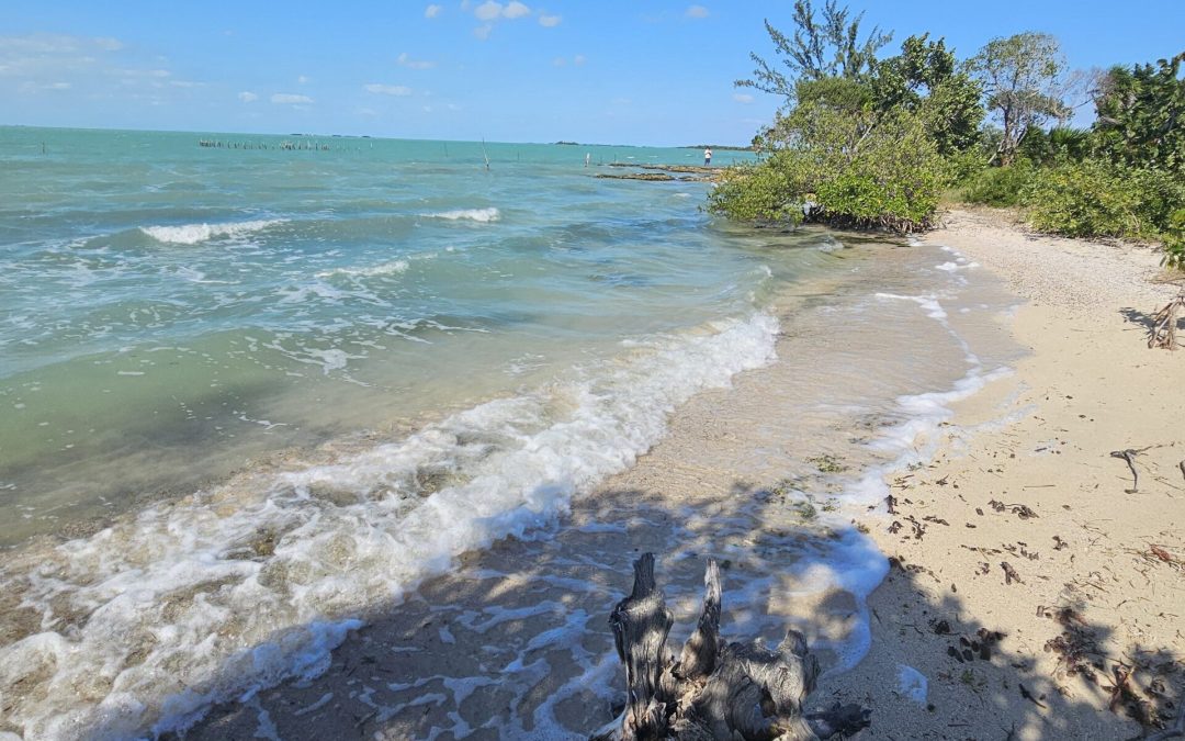 Vista Point at Secret Beach 590 Feet of Beach 1 Acre – FINANCING AVAILABLE !