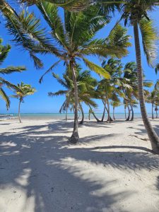 ARISTA Beach Club Lots Starting at $225,000. Financing Available. Only 4 Miles North