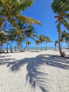 ARISTA Beach Club Lots Starting at $225,000. Financing Available. Only 4 Miles North