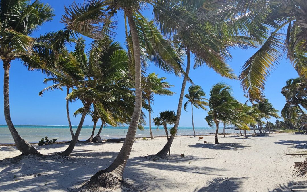 ARISTA Beach Club Lots 25-26  – $275,000