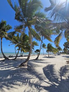 ARISTA Beach Club Lots Starting at $225,000. Financing Available. Only 4 Miles North