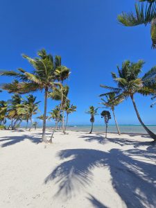 ARISTA Beach Club Lots Starting at $225,000. Financing Available. Only 4 Miles North