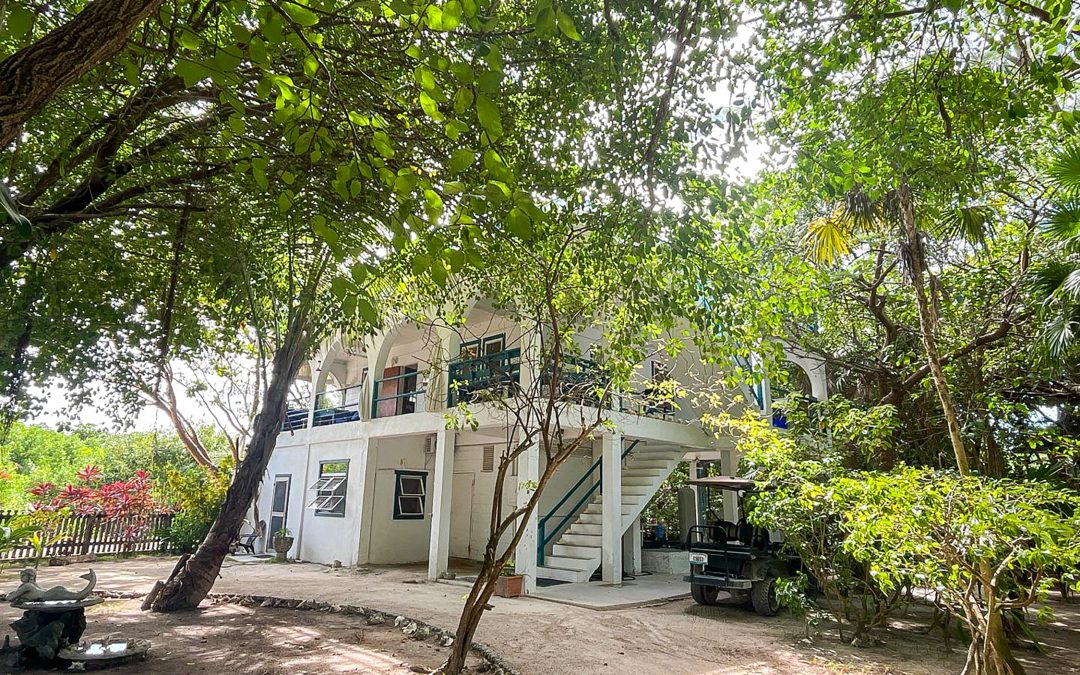 FEATHERS Guesthouse – on 4 Parcels – Great OPPORTUNITY with Financing
