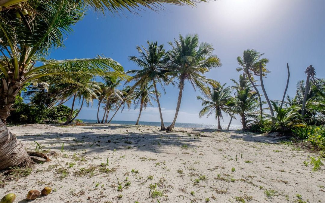 Oceanview Lots FINANCE With 25% Down!