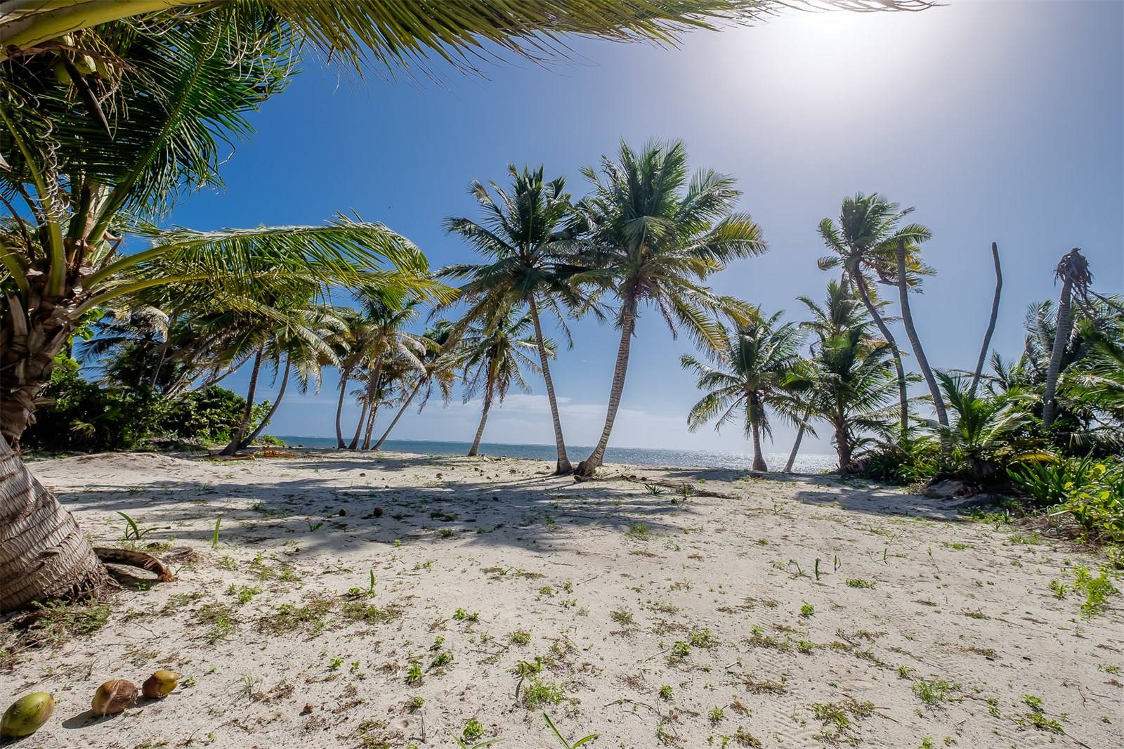 Oceanview Lots FINANCE With 25% Down!