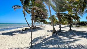 ARISTA Beach Club Lots 5-8  – $235,000
