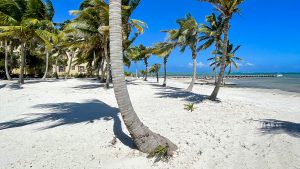 ARISTA Beach Club Lots 5-8  – $235,000