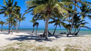 ARISTA Beach Club Lots 5-8  – $235,000