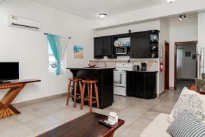 Aqua at Casa Del Rai – 1 Bedroom Unit