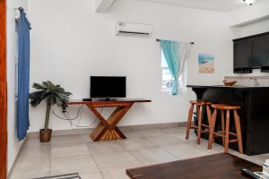 Aqua at Casa Del Rai – 1 Bedroom Unit