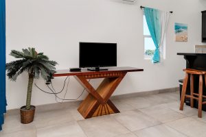 Aqua at Casa Del Rai – 1 Bedroom Unit