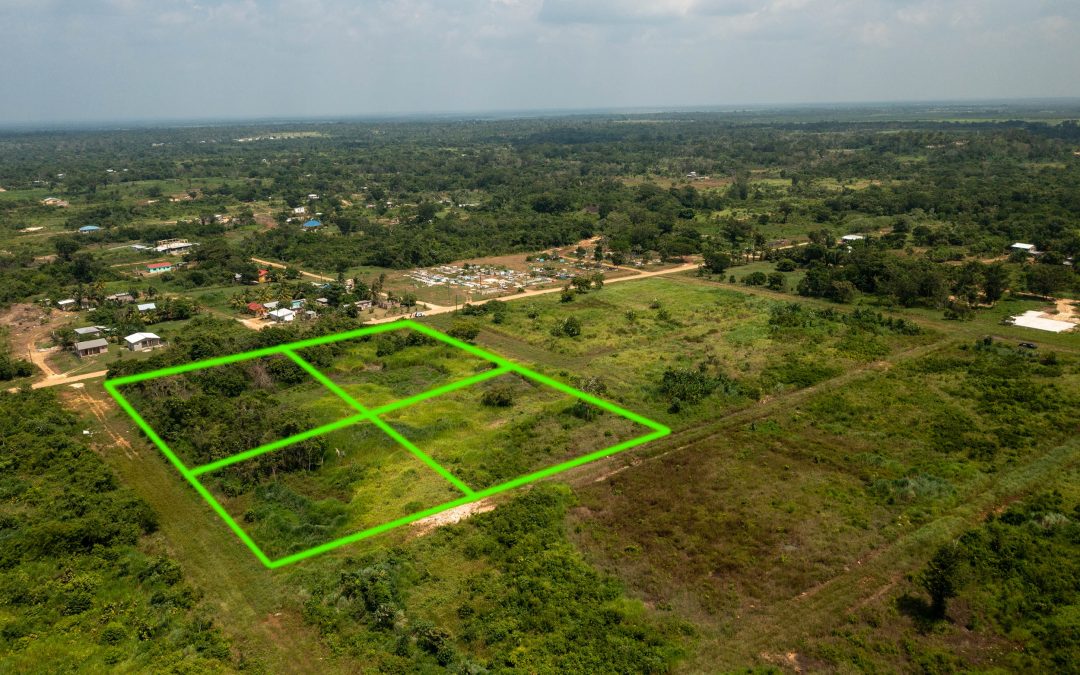 Belmopan 4 Commercial Lots