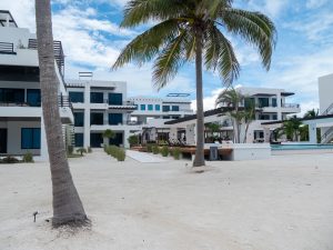 Blu Zen – Unit #A2S