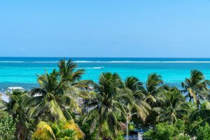 Citrus at Casa Del Rai – Two Bedroom Unit