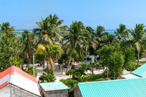 Citrus at Casa Del Rai – Two Bedroom Unit