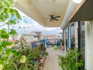 Coconuts Blue at Coconuts Caribe