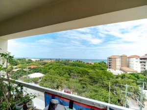 Coconuts Blue at Coconuts Caribe