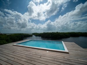 Coconuts Blue at Coconuts Caribe