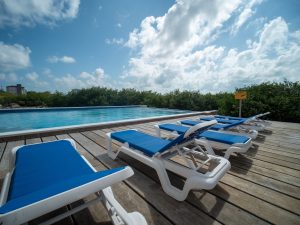 Coconuts Blue at Coconuts Caribe