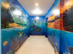 Coconuts Blue at Coconuts Caribe