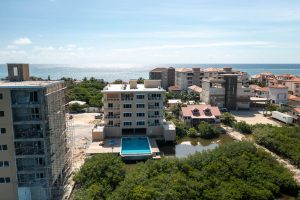 Coconuts Caribe #204