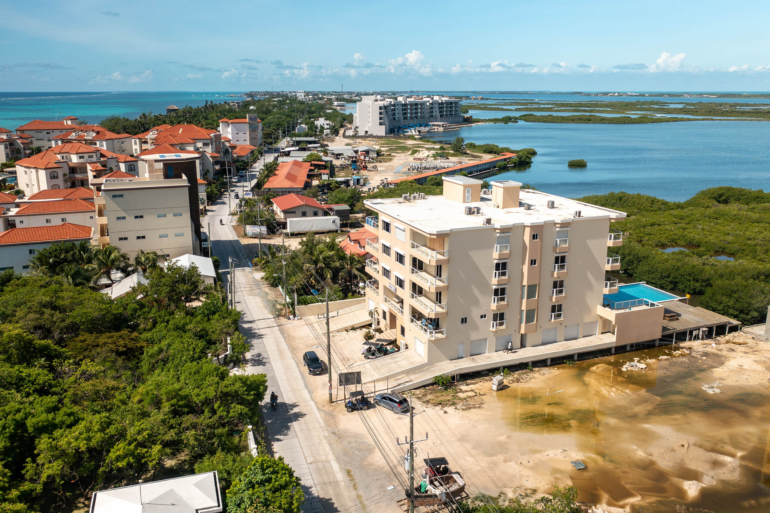 Coconuts Caribe #204