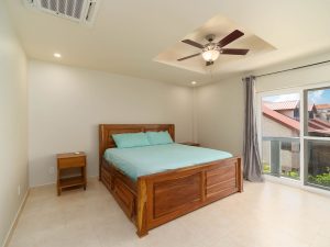 Coconuts Caribe #204