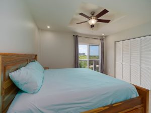 Coconuts Caribe #204