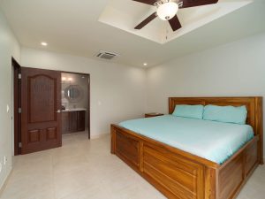 Coconuts Caribe #204