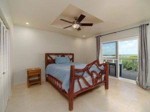 Coconuts Caribe #204