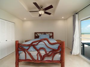 Coconuts Caribe #204