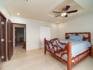 Coconuts Caribe #204