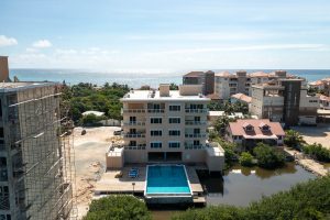 Coconuts Caribe #204