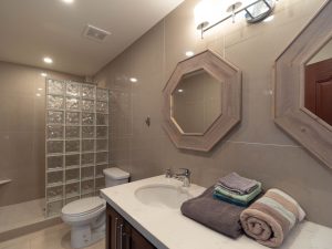 Coconuts Caribe #204