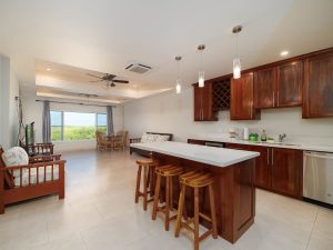 Coconuts Caribe #204