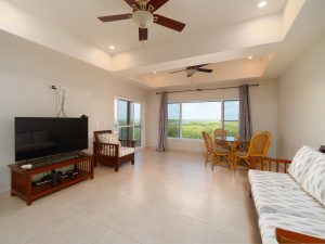 Coconuts Caribe #204