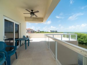 Coconuts Caribe #204