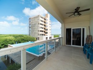 Coconuts Caribe #204