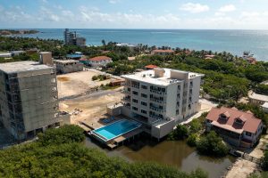 Coconuts Caribe #204