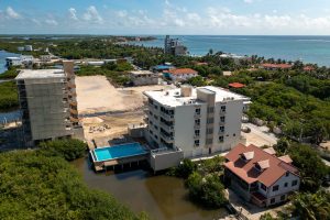 Coconuts Caribe #204