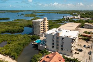 Coconuts Caribe #204