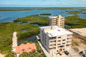 Coconuts Caribe #204