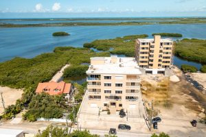 Coconuts Caribe #204